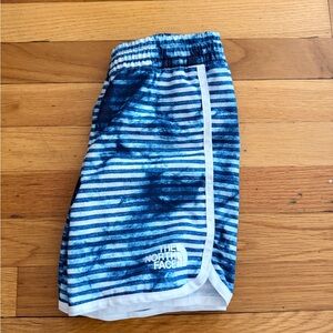 The North Face Navy and White Striped Shorts